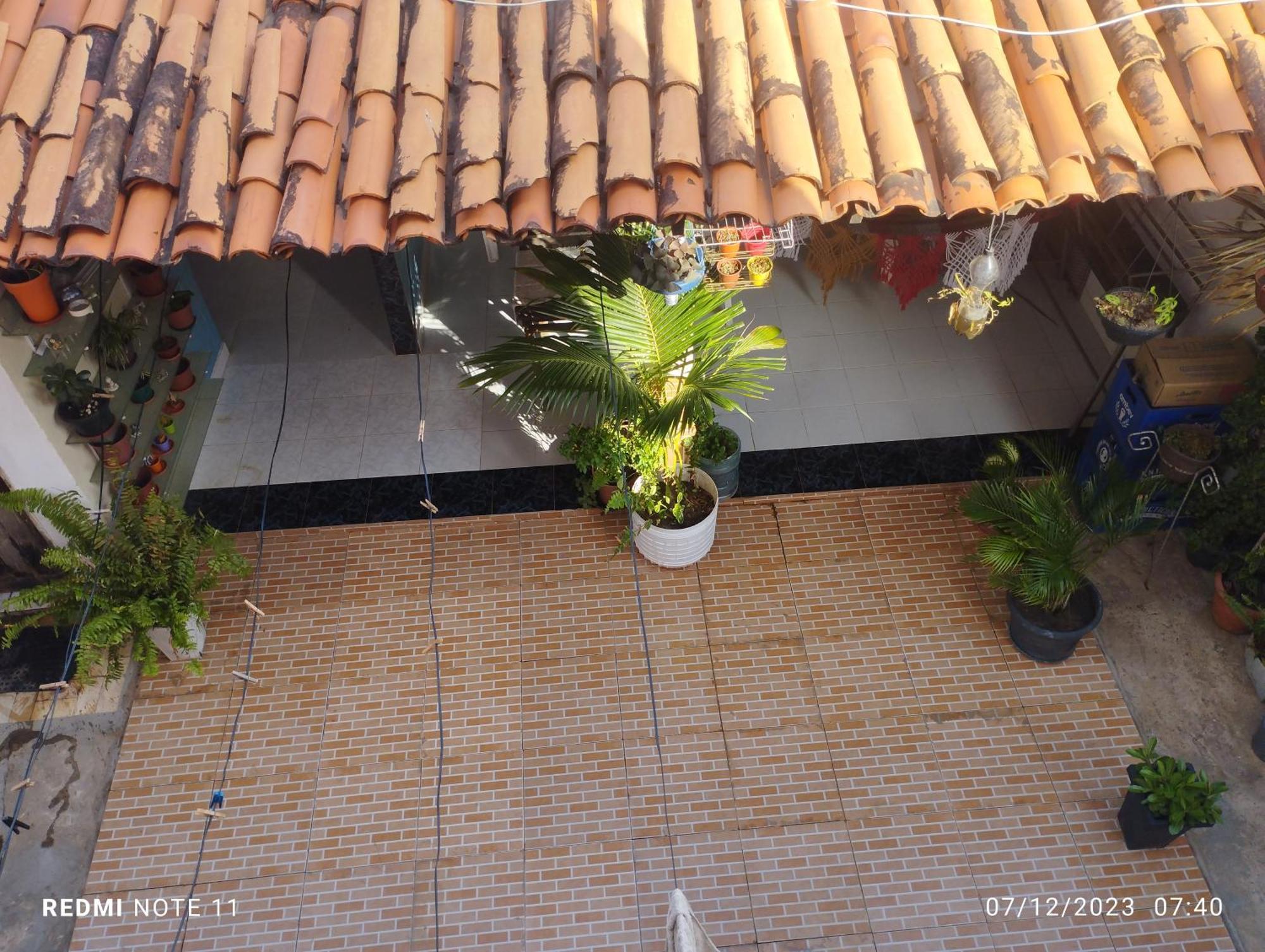 Vitoria Regia *